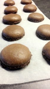 coques macarons chococolat