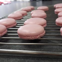 Coques Macarons