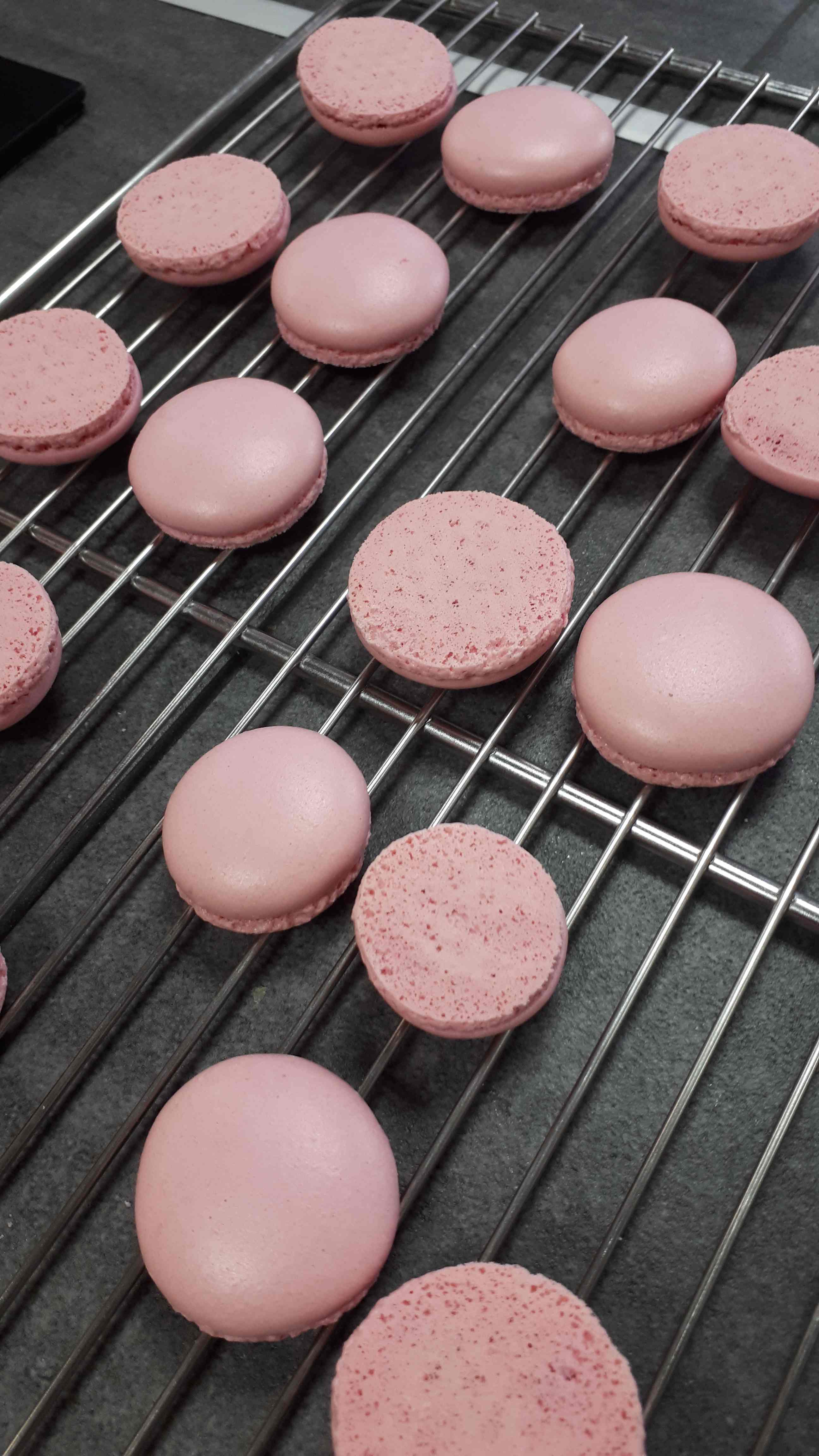 Coques Macarons 